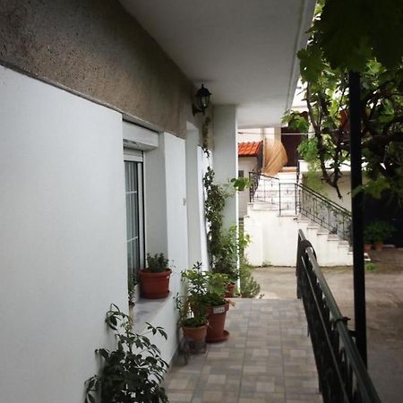 Big Apartment Near Olympus Mountain Літохоро Екстер'єр фото